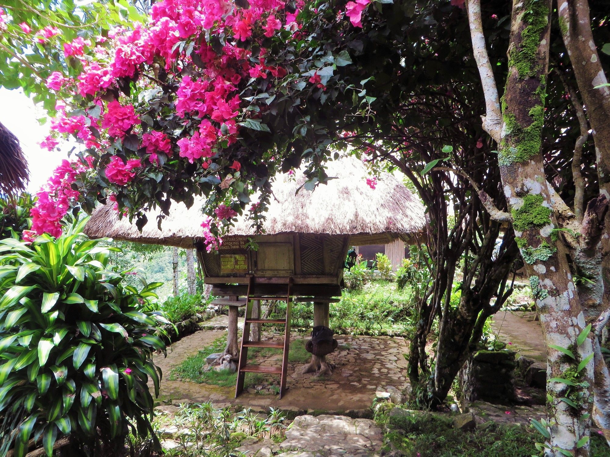 Native Village Inn Banaue Exterior foto